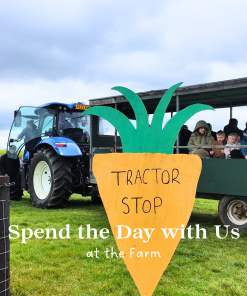Family Fun at the Farm