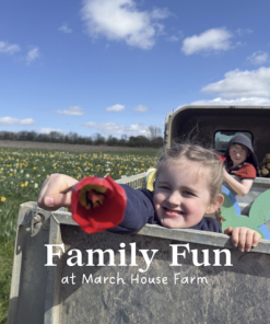 Family Fun at the Farm